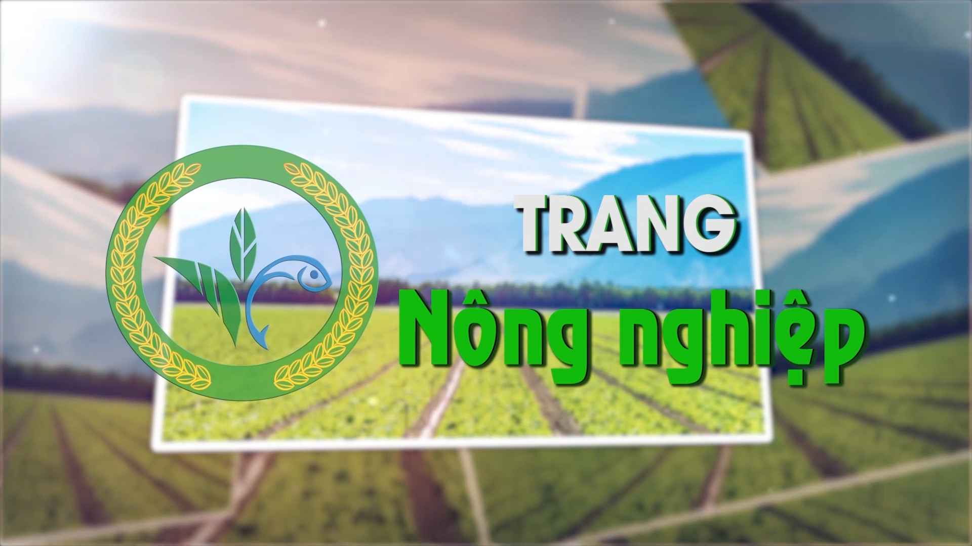 Trang Nông nghiệp (20.08.2024)